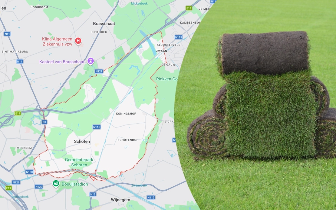 Grasmatten kopen afhalen Schoten gras op rol kant en klaar grasmat
