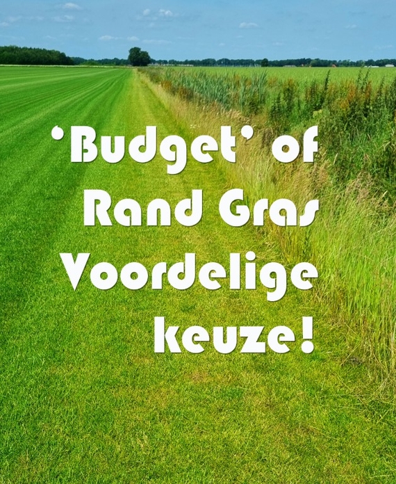 Goedkope graszoden - budget of randgras is voordeliger en na verloop net zo mooi