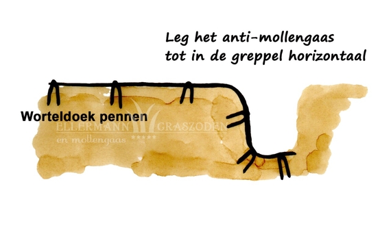 Het antimollen gaas moet met een bocht in de greppel liggen zodat het horizontaal eindigt
