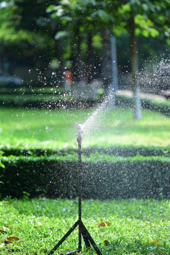 Hoe de maaihoogte de waterbehoefte van je gras beinvloed korter maaien is meer water nodig.jpg