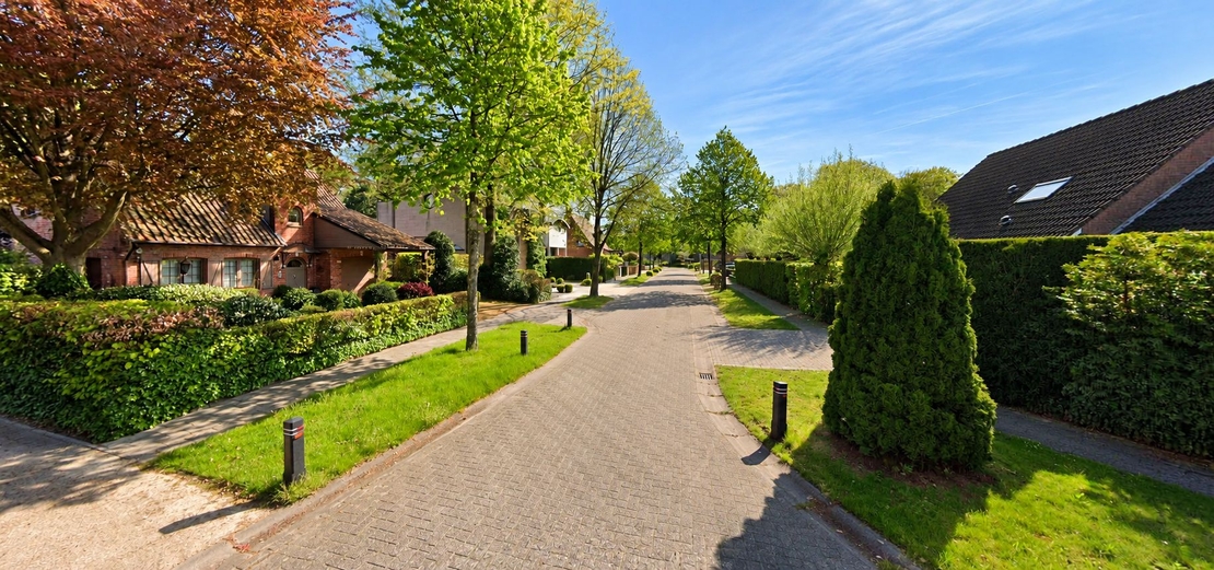 Schoten  prachtige wijk met veel groen  bomen en gras natuur openbare ruimte