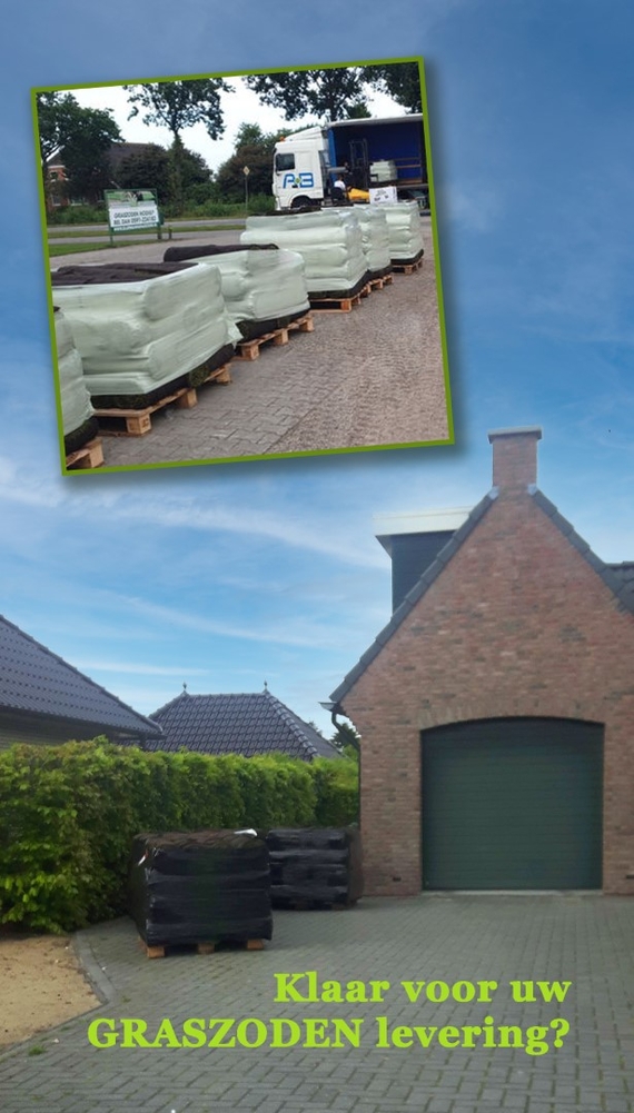 Waar rekening mee houden als je grasrollen of grasmatten wilt gaan bestellen en leggen