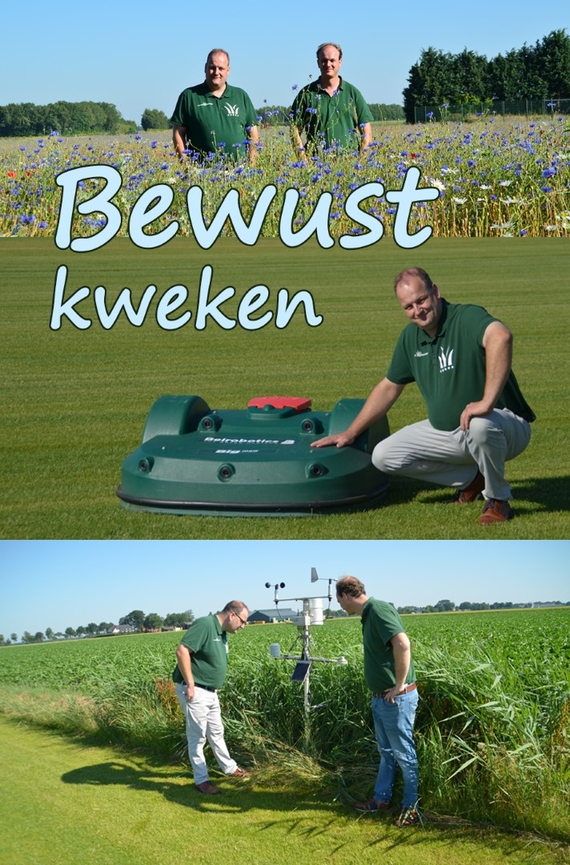 Ecologisch kweken biologische graszoden kopen bewuster met water omgaan zuiniger verantwoord tuinieren gazon grasveld