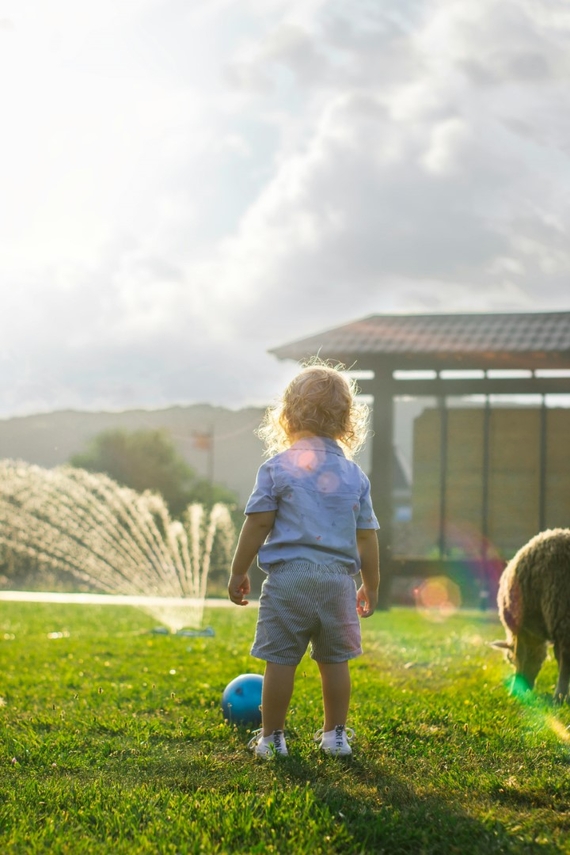 Water geven aan een vers gelegd gazon graszaad versus graszoden  gazon leggen voor en nadelen.jpg