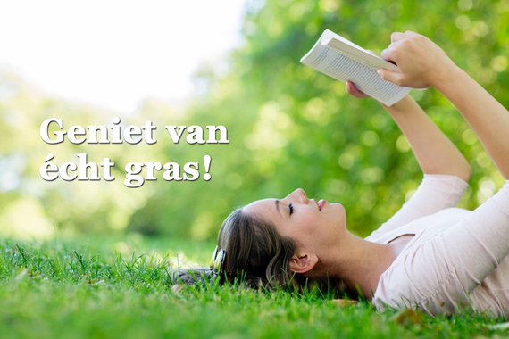 Biologische graszoden kopen is echt genieten van een verantwoorde grasmat bij ecologisch tuinieren