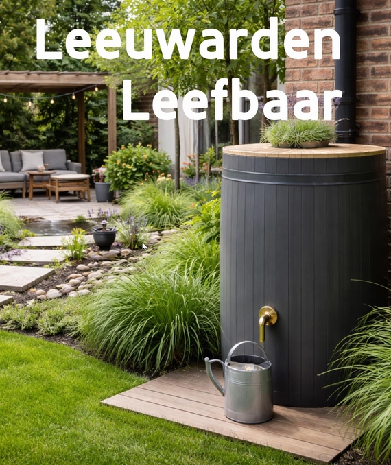 leeuwarden leefbaar subsidie groene ruimte wateropvang gras gazon grasveld aanleggen tegels vervangen gratis.jpg