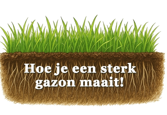 hoe je sterkere wortels onder je gazon krijgt door de maaihoogte aan te passen (Groot).jpg