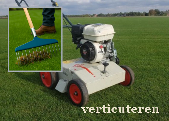 Gazon verticuteren na de winter in de lente voorjaar mos verwijderen met verticuteermachine