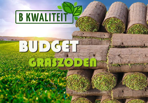 Budget gras randgras voordelig een gazon leggen met afgekeurd premium gras snel mooi
