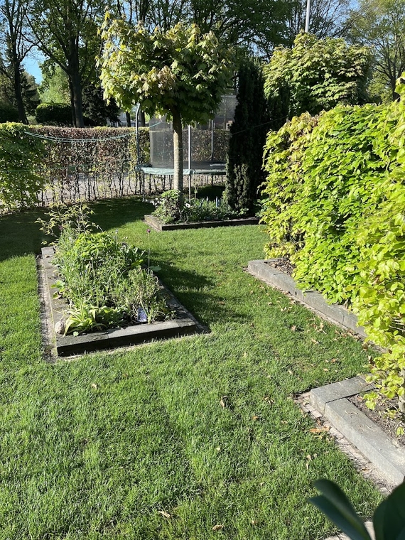 Tuin met net gelegde rollen gras grasmatten uitgerold voor grasveld voorbeeld Schoten