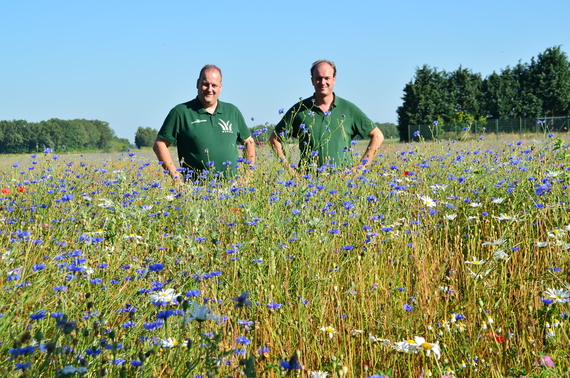 natuurbeheer.JPG