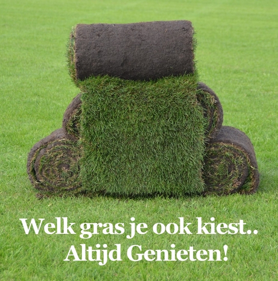 Woerden soorten grasmatten grasveld keuze gazon met kant en klaar gras