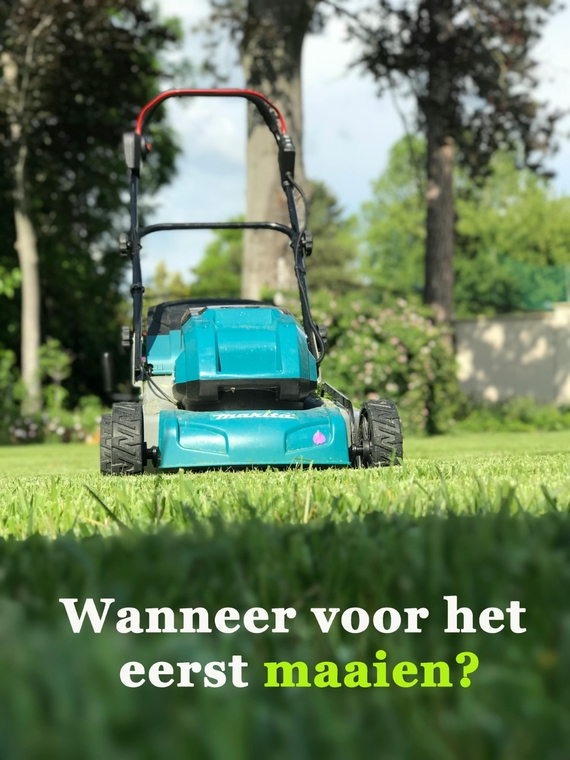 maaimachine op vers gelegd gazon van graszoden na 2 weken grasmaaien