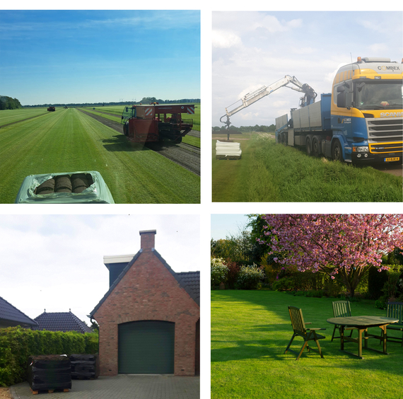 Graszoden vers van het land bezorgd in leeuwarden tegen lage prijs