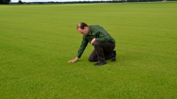 Als u het gras sneller wilt laten groeien