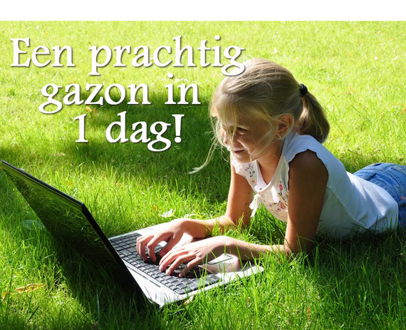 graszoden leggen in den bosch en op korte termijn genieten van nieuw gazon grasveld grasmat