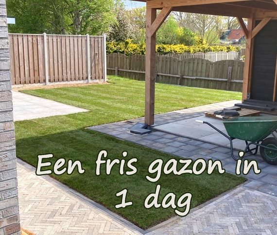 Een splinternieuw gazon snel gelegd met kant en klare rollen gras