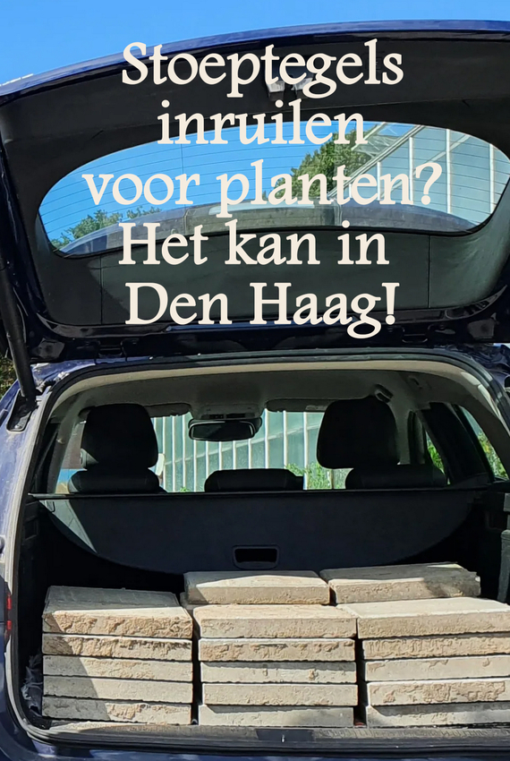 Tegels inruilen voor planten in Den Haag kan via actie steenbreuk