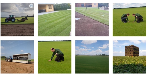 Leverancier graszoden Alphen en omgeving kweker grasmatten Ellermann voordelig geleverd