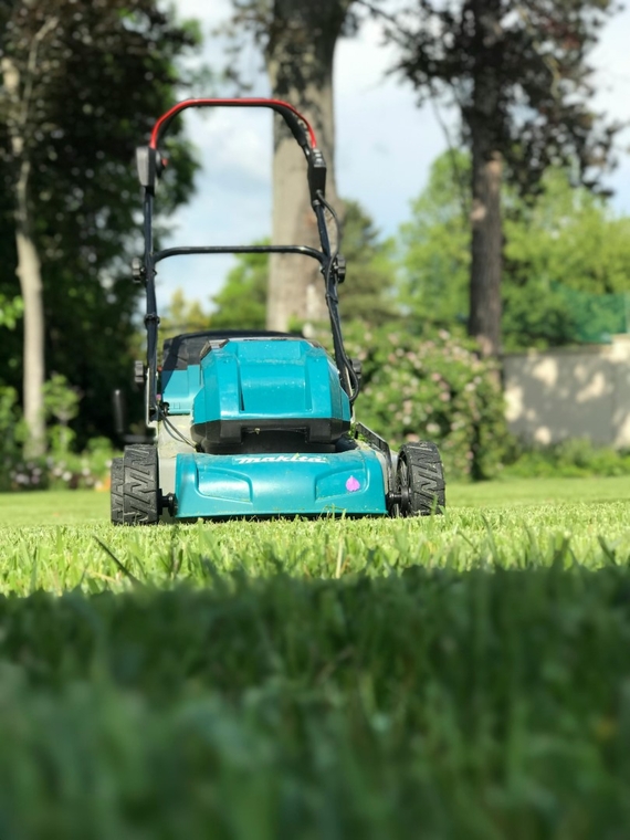 Graszoden gaan maaien wanneer zitten ze vast belopen grasmaaien gazon