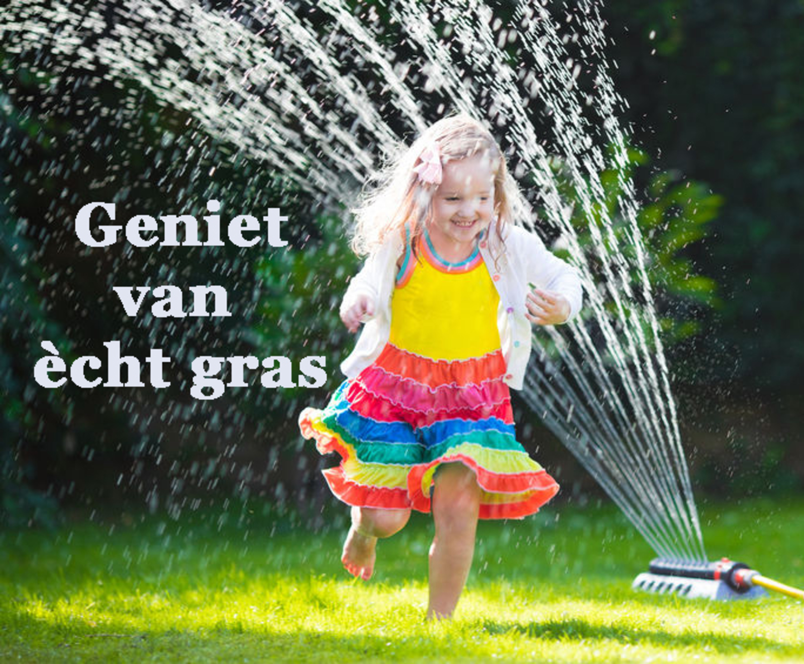 Gazon van frisse grasmatten groen en vers gras