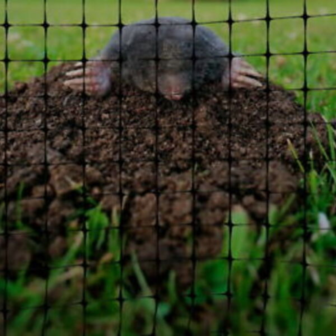 mollengaas-onder-graszoden-leggen.jpg