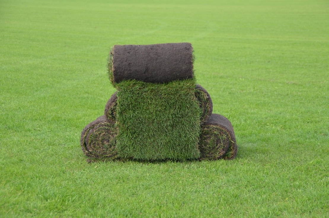 graszoden-zonder-net-beter-voor-het-milieu-net-zo-sterk-groot.jpg