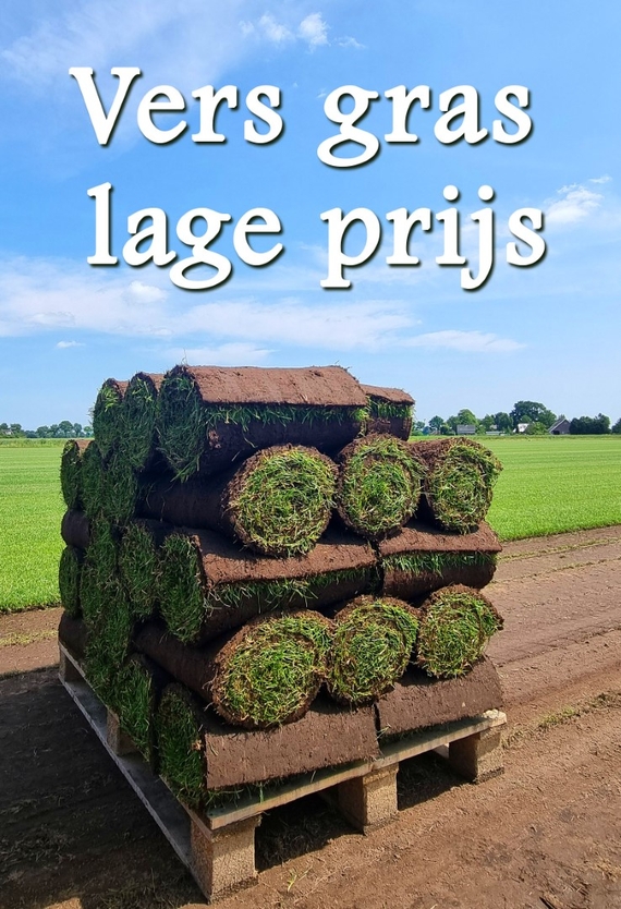 Pallet graszoden goedkoop een gazon aanleggen met kant en klaar gras op rol