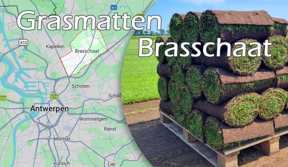 Rollen kant en klaar gras vers gesneden grasmatten Brasschaat