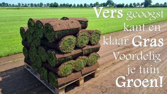 Graszoden afhalen Woerden en omgeving voordelig goedkoop prijs