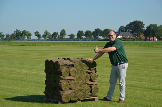 Graszoden te koop.jpg