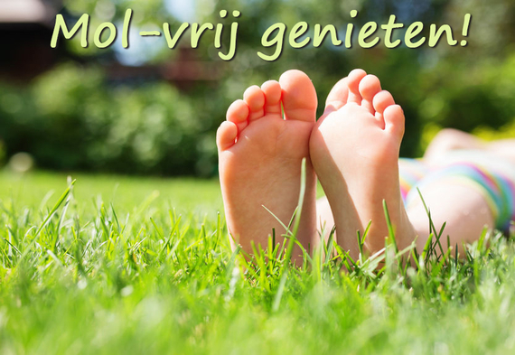 Mollen uit je gazon door correct gelegd antimollengaas