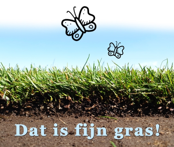 Biologische grasmatten insectvriendelijk diervriendelijk en kindvriendelijk gazon aanleggen met milieuvriendelijk gekweekte graszoden