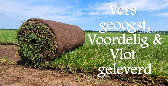 Graszoden in de buurt afhalen of laten bezorgen grasmatten rol kant en klaar gras.jpg