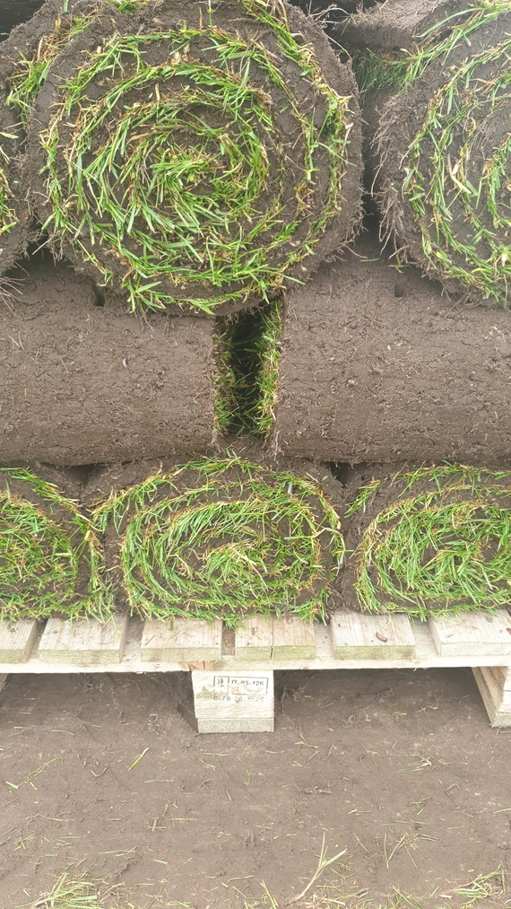 graszoden  thuisbezorgd op pallet in eindhoven