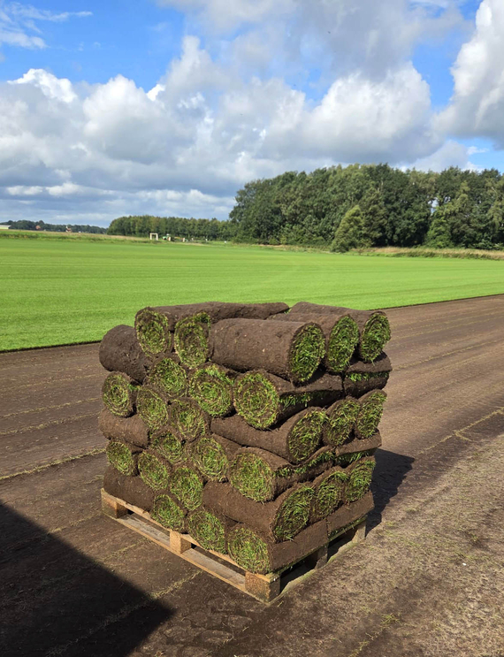 Graszoden kopen in de buurt rollen kant en klaar gras van een kweker.jpg