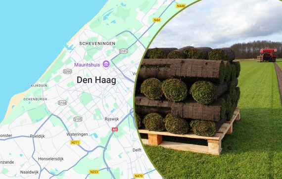 Graszoden koop je in den haag bij ellermann graszoden online voordelig en snel