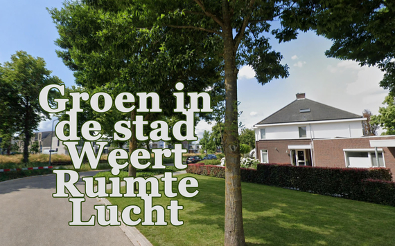 Groene ruimte geeft ontspanning en lucht - gras kopen weert