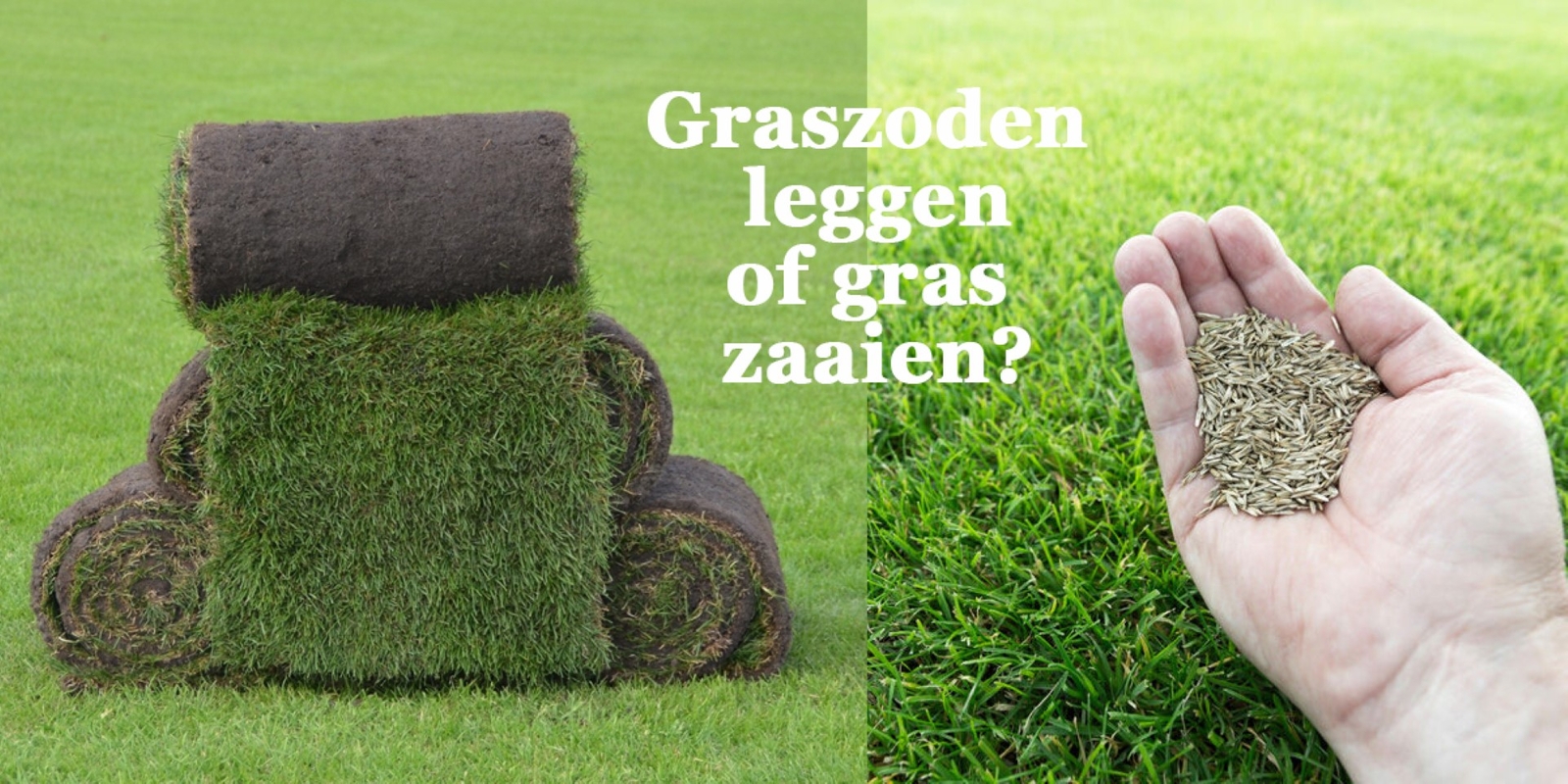 graszoden-leggen-of-gras-zaaien-voor-en-nadelen-groot.jpg