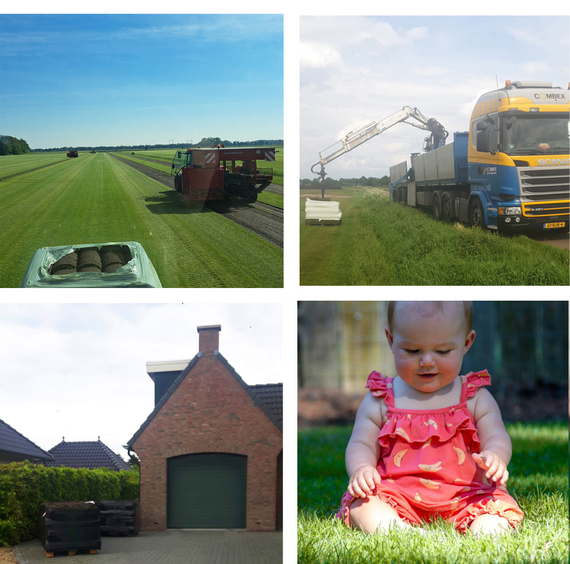 Korte levertijd graszoden bezorgd in Den Haag verse grasmatten uit Drenthe