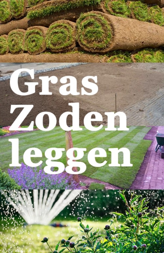 gazon leggen met kant en klaar gras tips voor online bestellen graszoden Alphen