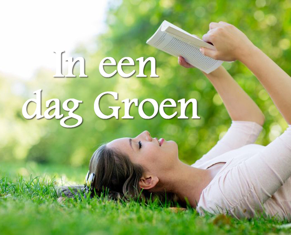 Graszoden voor het maken van gazon in Den Haag en daarna genieten van een boek