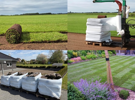 Gras vers van het land na bestellen online bezorgd bij u thuis en zo in de tuin