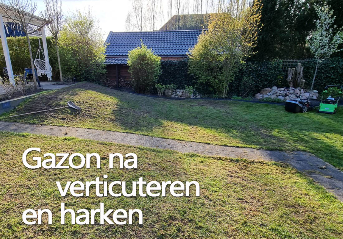 Mos harken naar verticuteren - gazon harken - mos verwijderen met hark