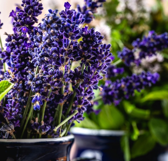Bloemen in potten helpen bij ecologisch tuinieren biodiversiteit, tuinieren