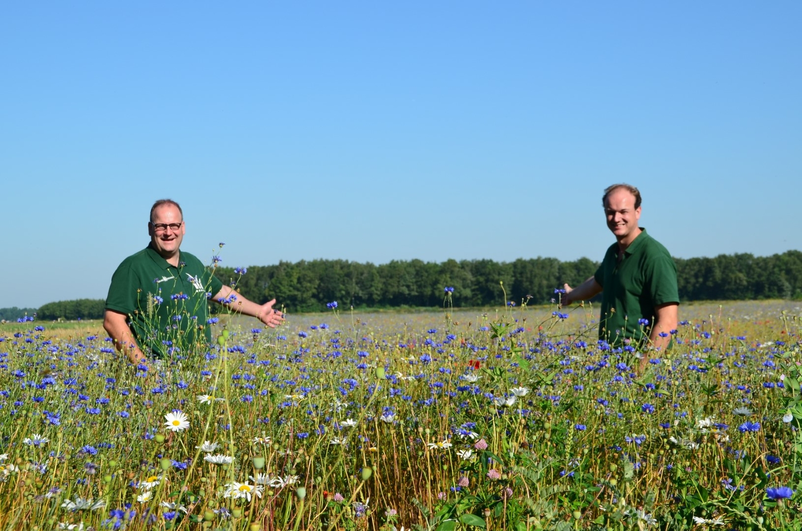 Graszoden leverancier voor Leeuwarden de provincie Friesland