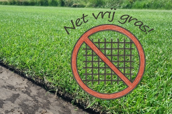 Minder plastic verantwoord tuinieren graszoden ecologisch zonder net sterker beter strakker gras milieuvriendelijker