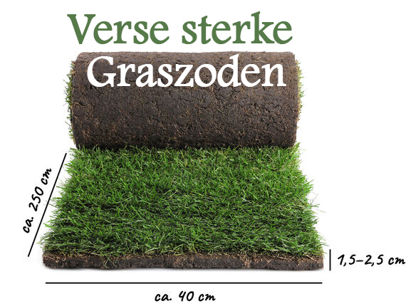 tips bestellen graszoden goedkoop levering rollen kant en klaar gras