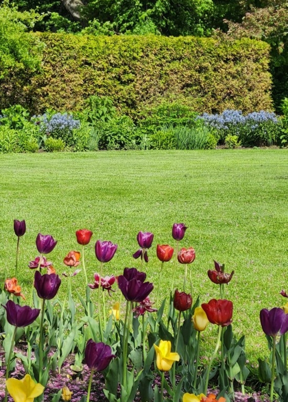Een gazon aanleggen in Purmerend - kijk eens goed naar je ondergrond voor je gras zaait of graszoden koopt