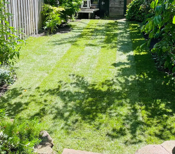 volledig groen gazon in 1 dag gelegd met graszoden of toch zaaien en goedkoper uit zijn.webp
